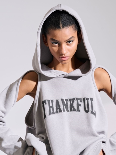 Picture of LIBELLOULA - Hoodie grey "Thankful" MEMPHIS